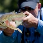 Art Teter - Fall River Fly Fishing