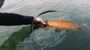 September Rainbow Fall River | Art Teter Guiding