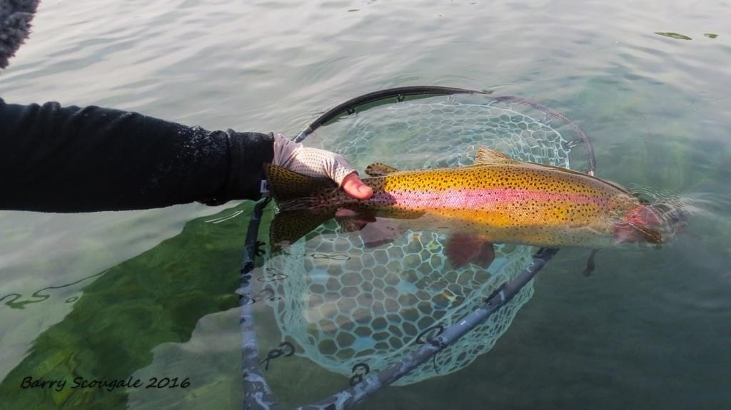 September Rainbow Fall River | Art Teter Guiding