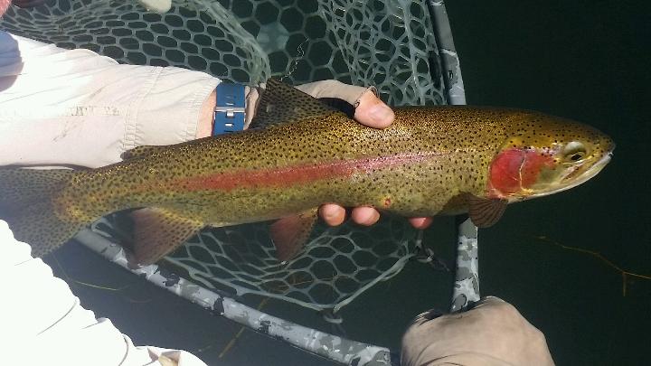September and October on Fall River | Art Teter Fly Fishing