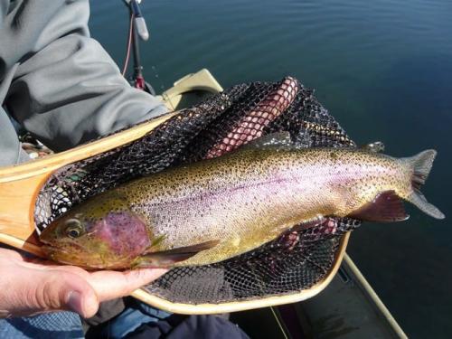 big trout art teter guide service